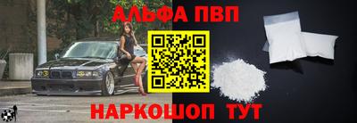 молекула духа Кингисепп