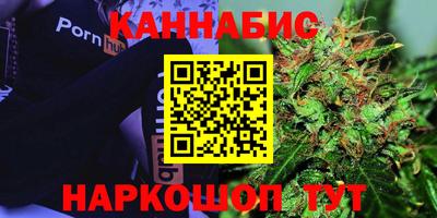 молекула духа Кингисепп