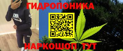 молекула духа Кингисепп