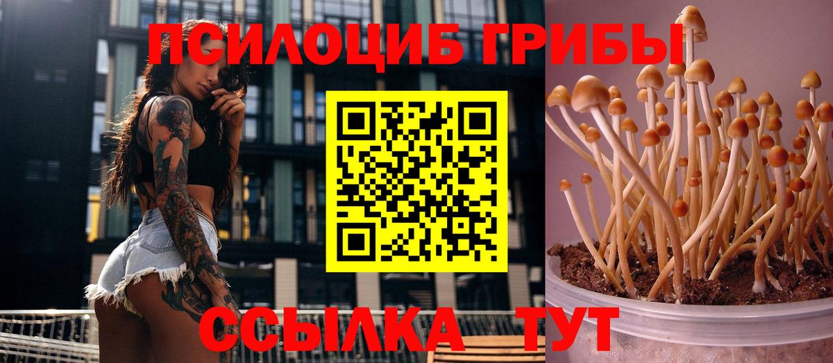 Галлюциногенные грибы Cubensis Фурманов